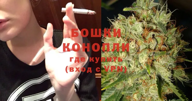 Бошки Шишки SATIVA & INDICA  Губкин 